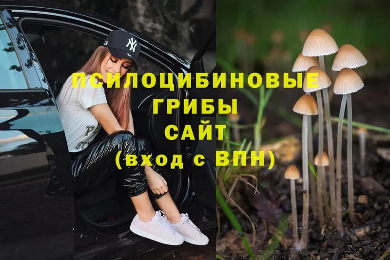 Псилоцибиновые грибы Cubensis  купить закладку  Любим 